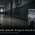 kara-wolnicki-patronat-kryminalne-tropy